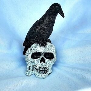 Skull w/ Crow